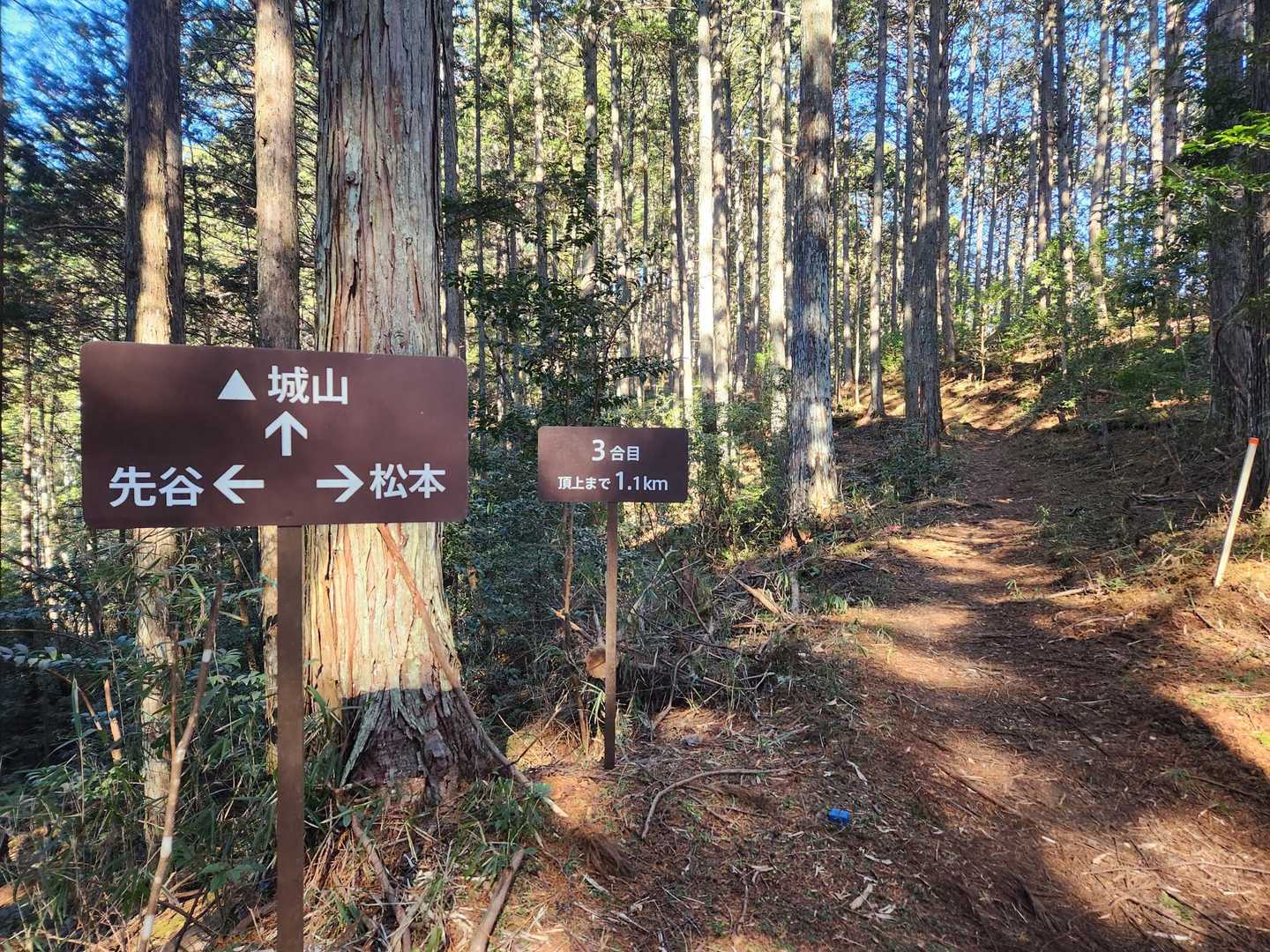 松本峠まで下ってきました。ここは左右に登山口があり、ショートカットもてきるみたい。ちなみにここで城山の3合目