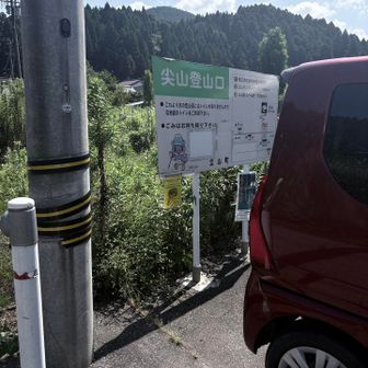 駐車場に戻って来ました。