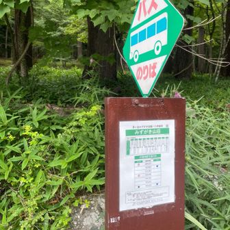バス停には誰もいません
時間確認してもまだ余裕
後から来るのかなぁ
