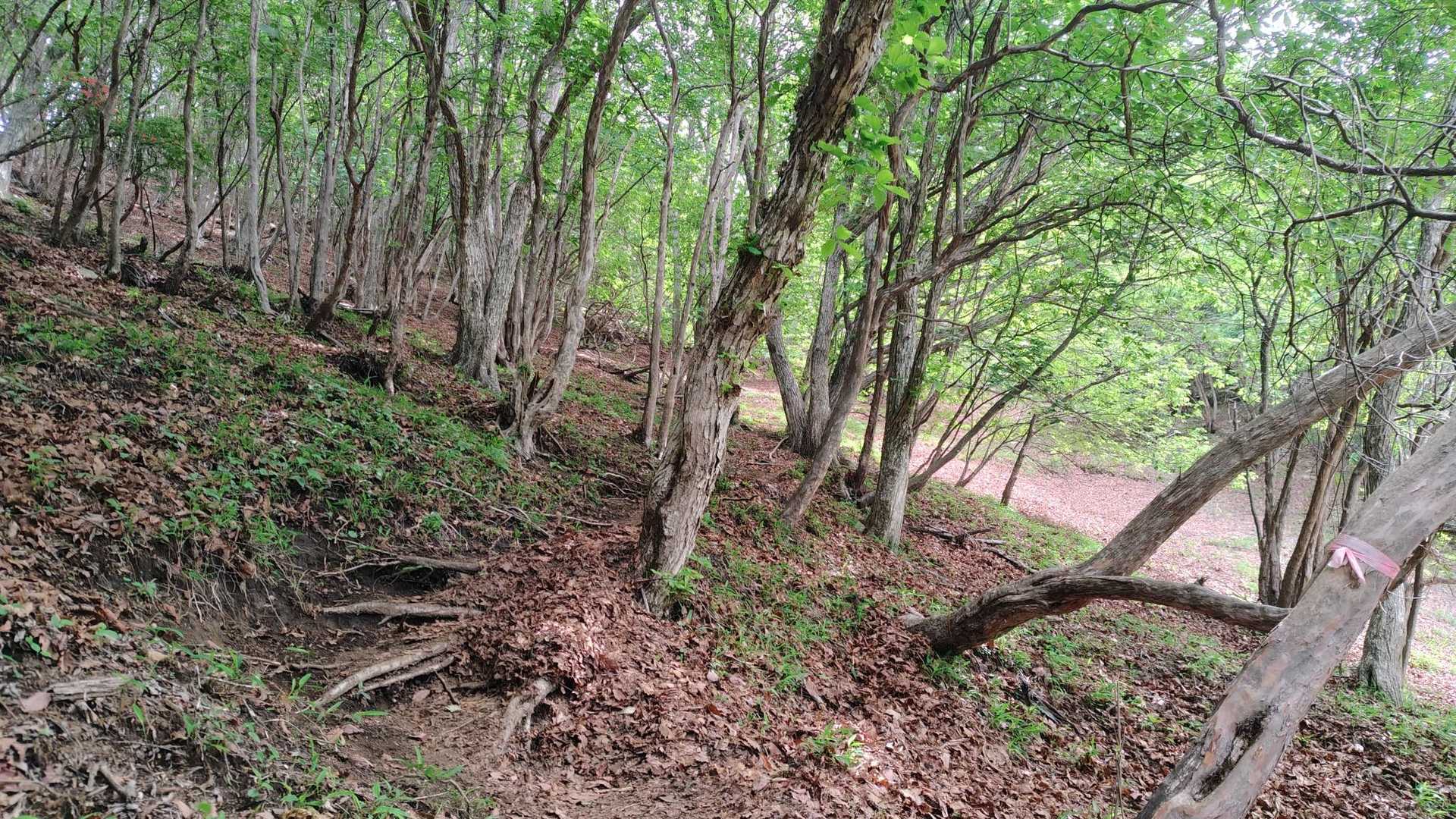 すんごく登ります💪