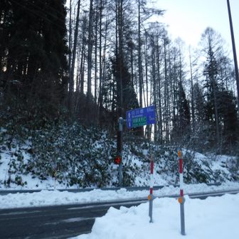 -2℃の中スタート