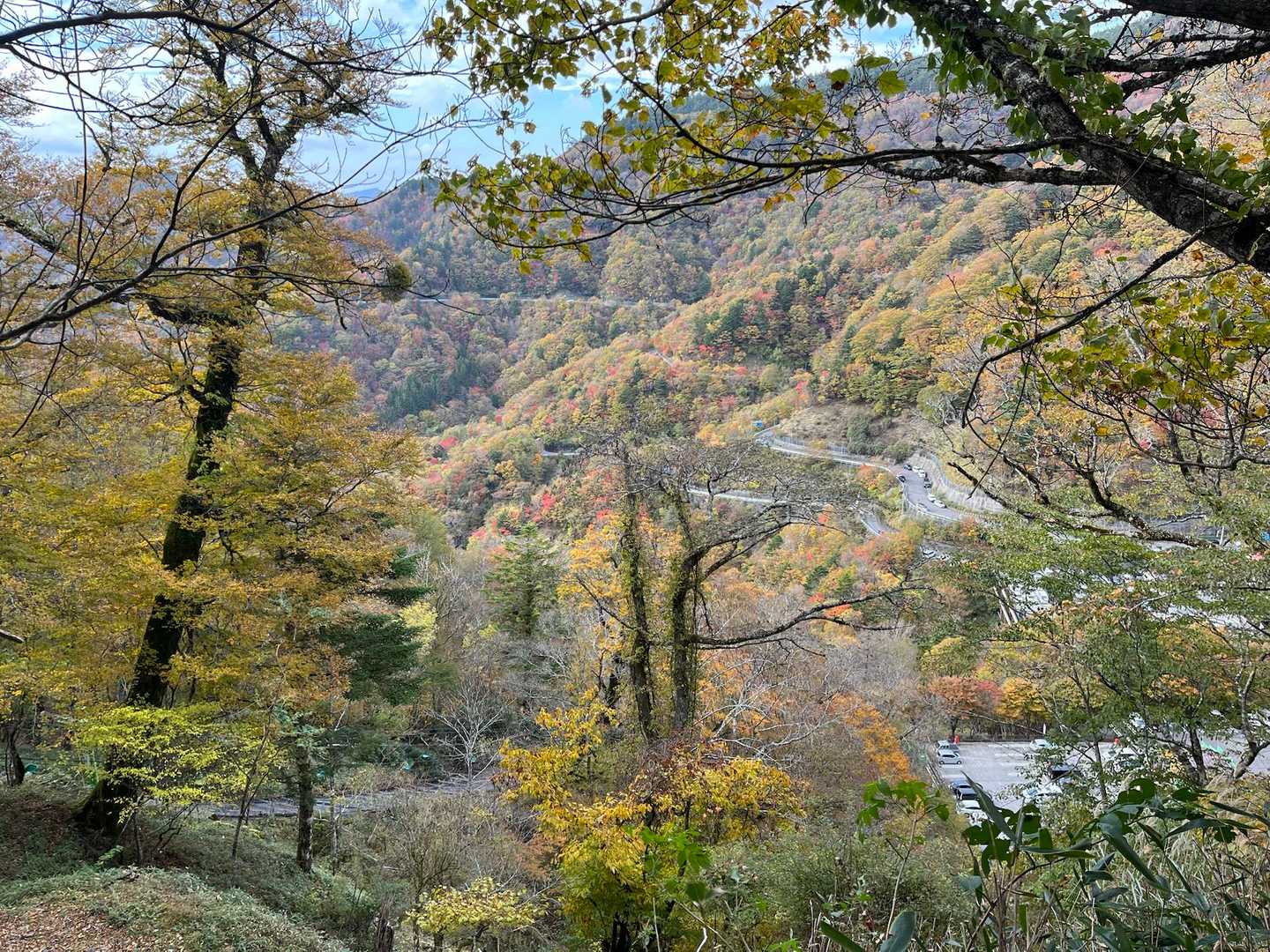 見ノ越あたりが
綺麗に紅葉🍁してました✨
今日も楽しかった〜✨