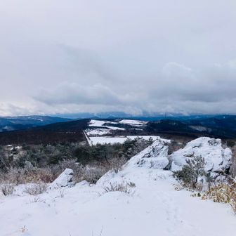 モノドックスも🤣