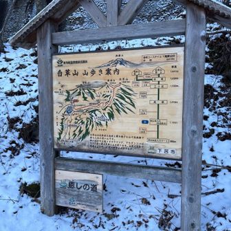 登山口の分かりやすい看板。登りの時は真っ暗だったので明るくなった下山時に撮影