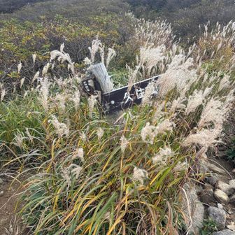 ココ通れば
登って降りなくて済んだけど
看板見逃してたー🙄
コレじゃ見逃すよね🙄🙄
帰りはココ通って楽だったー✌️