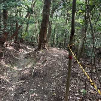 長等山へ急な下り、下までロープ張られてた