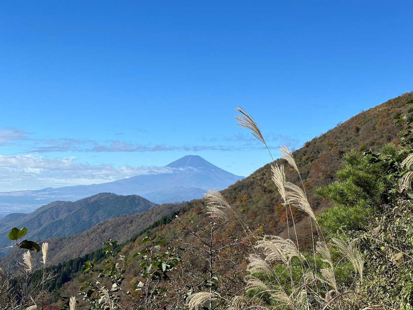 まだ青い富士山