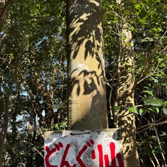 どんぐり山🏳️‍🌈450m