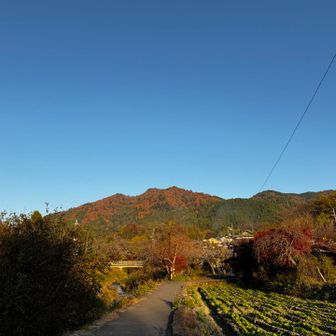 帰りの景色も、晩秋の大原♪…っ感じで素敵でした✨