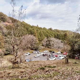 ポケットパーク🅿