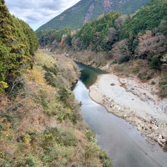 この辺りの川は全部底が透き通る綺麗さ