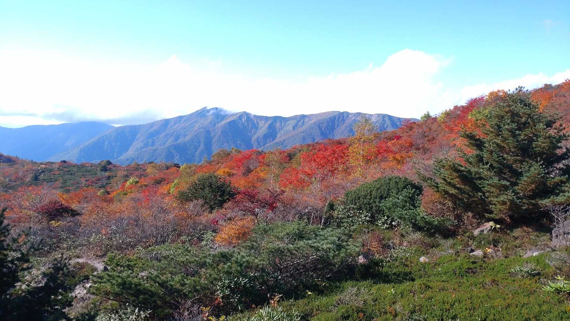 沼ッ原湿原登山口-白笹山-南月山-日の出平-姥ヶ平-日の出 縦走コースの写真