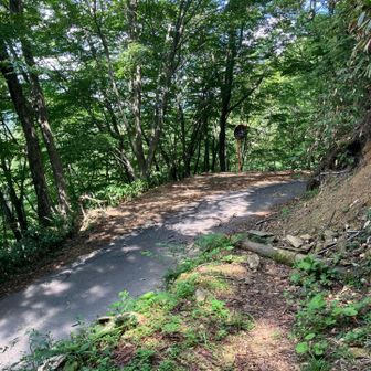 登山口へ下りました。
