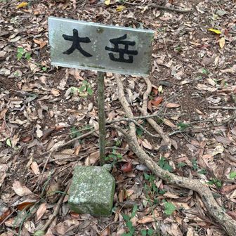 山頂