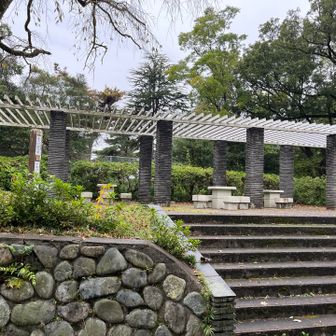 このあたりがつつじ山の山頂？（標識は見当たらず）