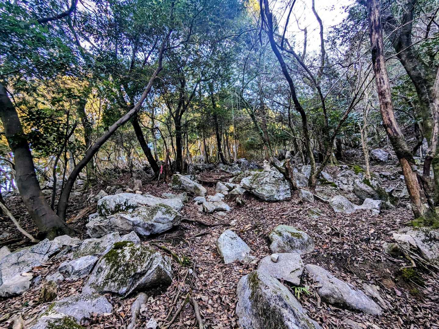 また岩が💦