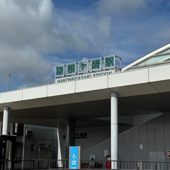 初めて降りた箱根ヶ崎駅