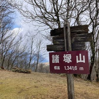 ご飯食べてのんびりしてたら、青空見えてきた！