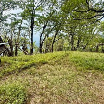天気良ければ向坂山やも一つの九州百名山・白岩山に行ってもよかったけど、雨具持ってきてないんで下ります⬇️