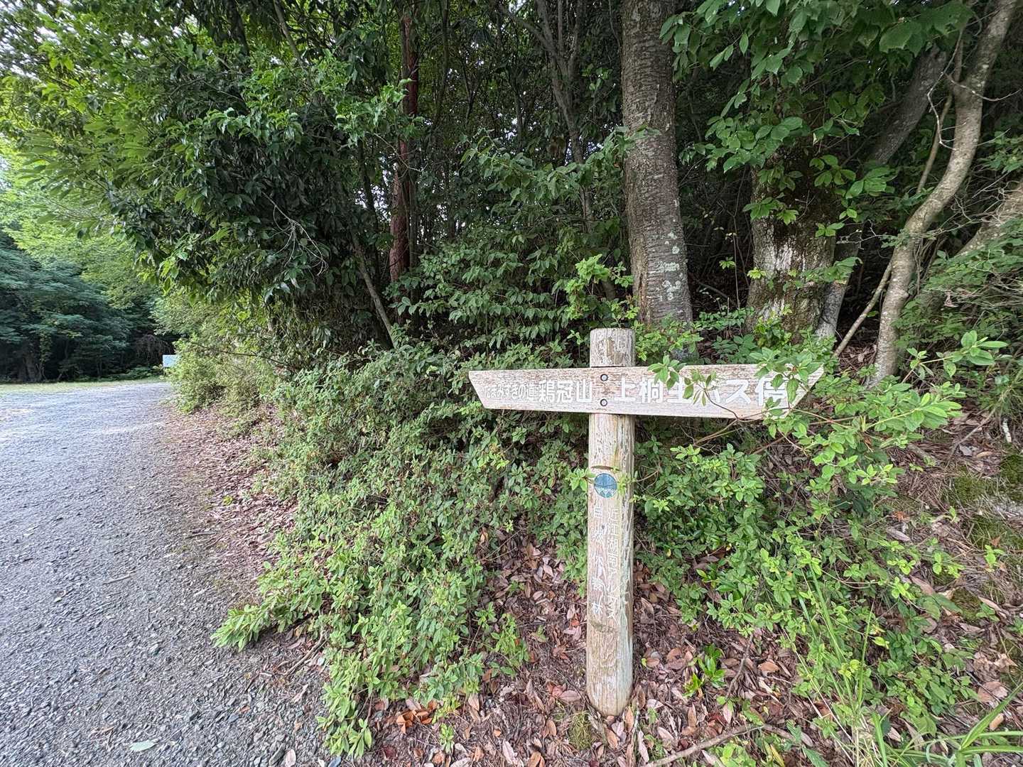 熱中症にビビり、Runは止めて登山口からスタート！