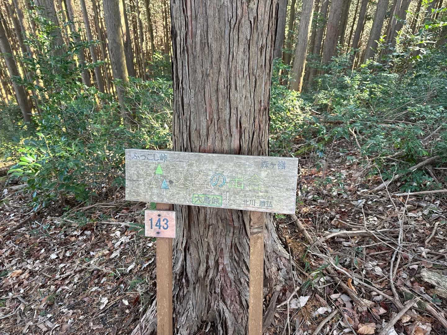 額堂山-森ヶ嶺-ふっこし峠-高野御前山-子安堂峠 周回コースの写真