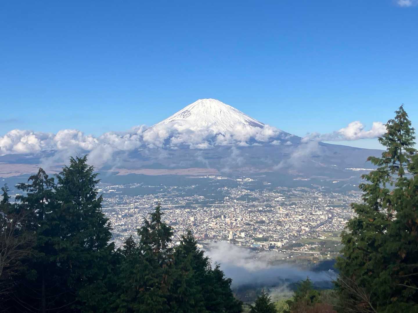 朝は綺麗に見えてました🗻