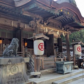 途中から登りましたが
お年寄りには大変です