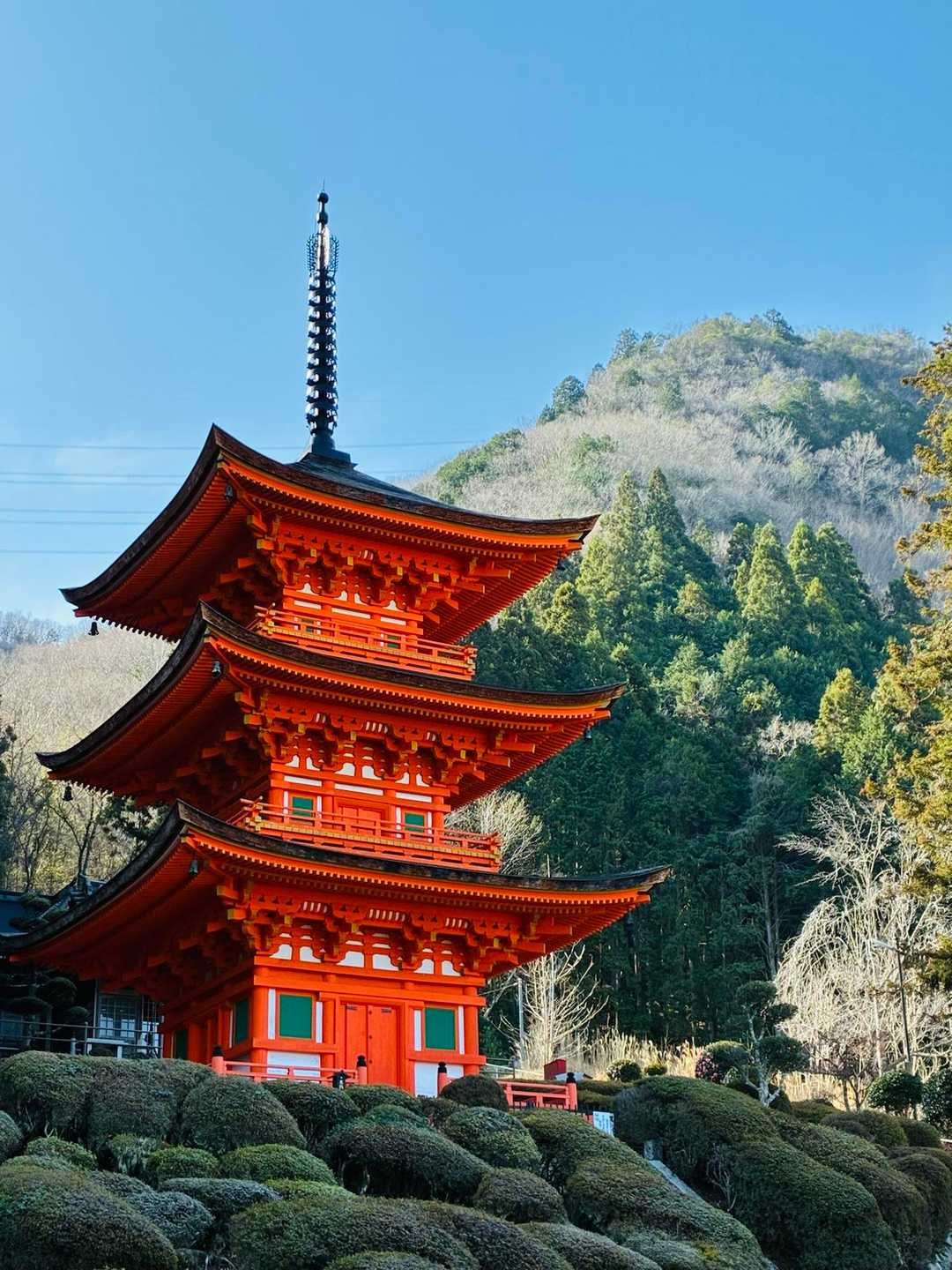 長福寺三重塔。岡山県最古の木造建築物。県重要文化財です☝️
