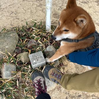 山頂⛰️三角点🐕