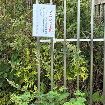 ここにマムシが住んでるらしい