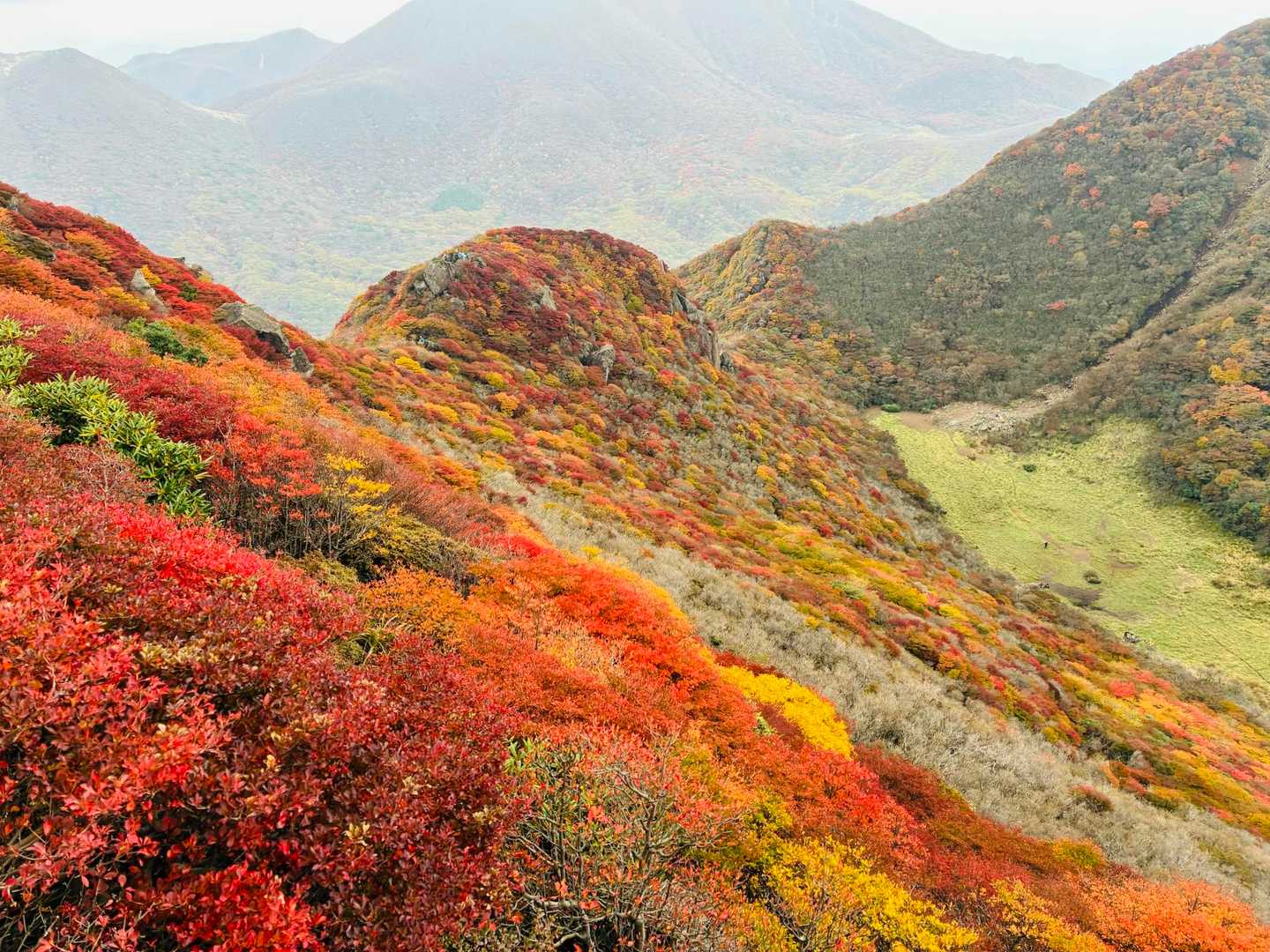 からの🍁
逆転ホームランでした♪
