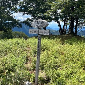 中東山　山頂