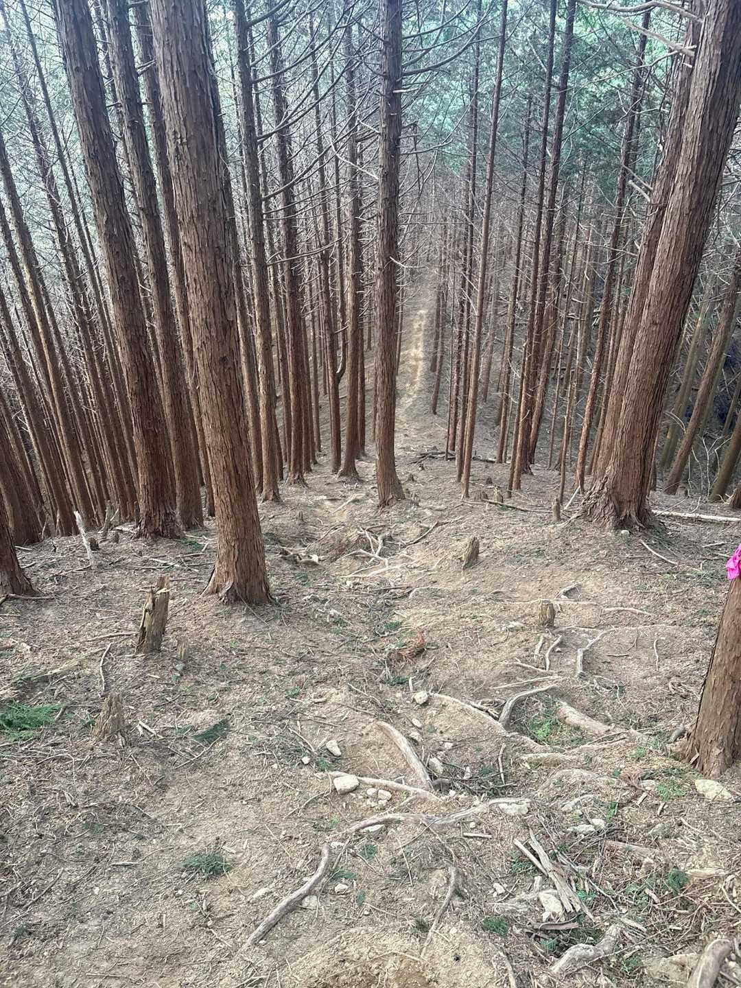 時間が遅いから残念ながら下山💨