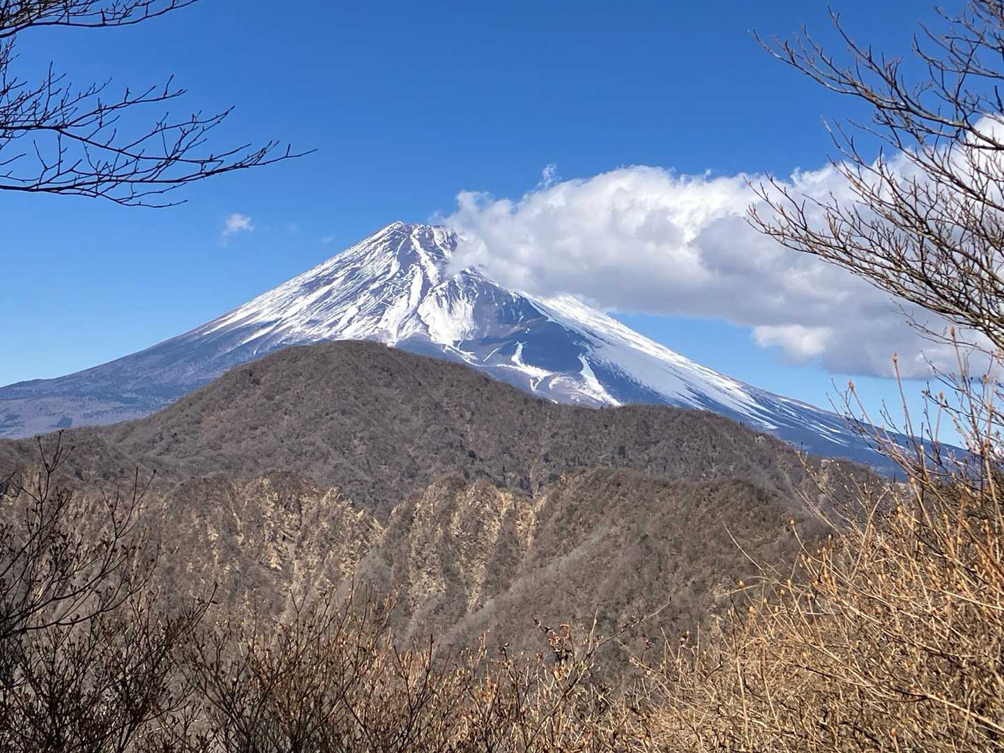 愛鷹山登山口-愛鷹山-馬場平-袴腰岳-一服峠 周回コースの写真