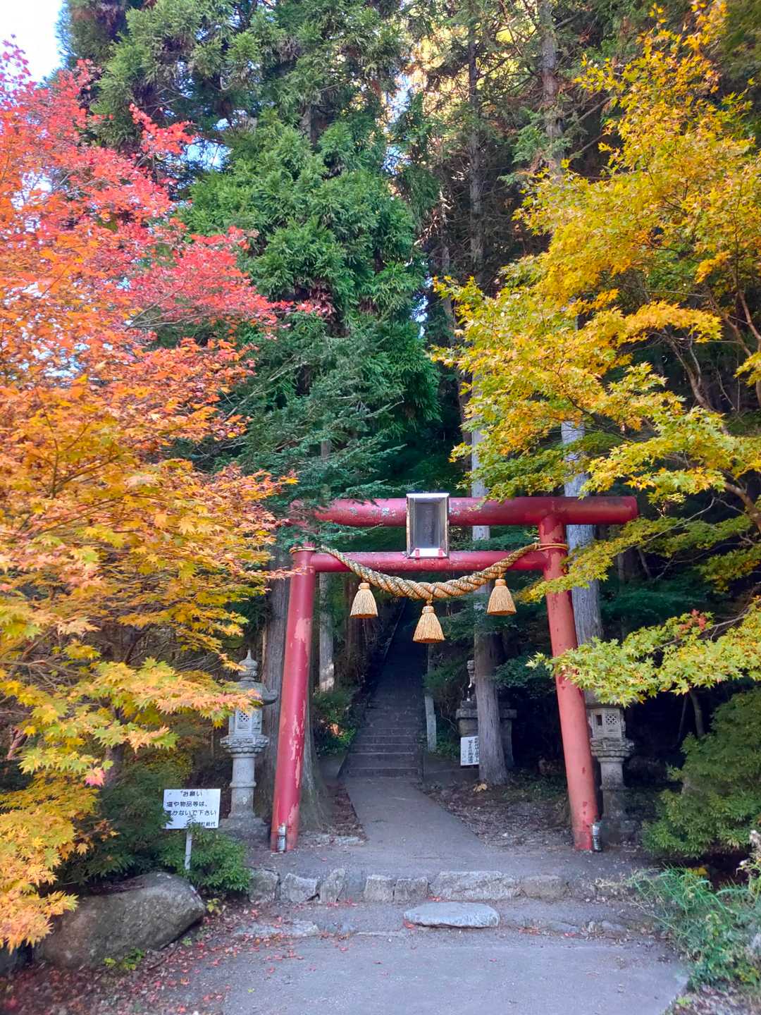 石割山 | 割れた巨岩を御神体とするパワースポットから、間近に富士山を望む稜線への写真