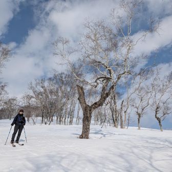 もりはきもちいあ