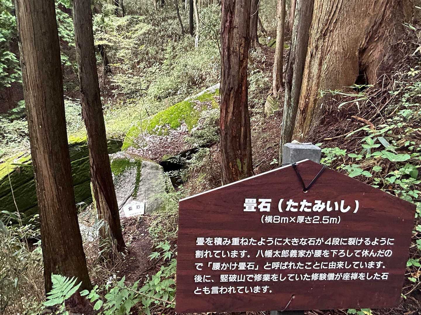 竪破山 往復コースの写真