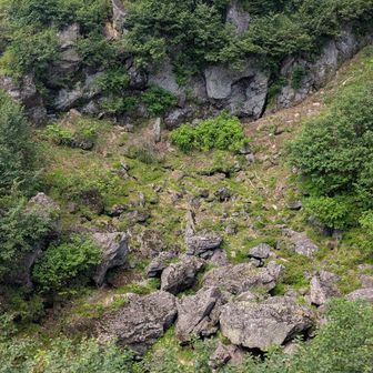 岩の壁面