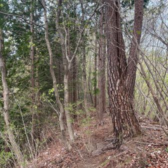 最後、小前の頭を
目指します♪