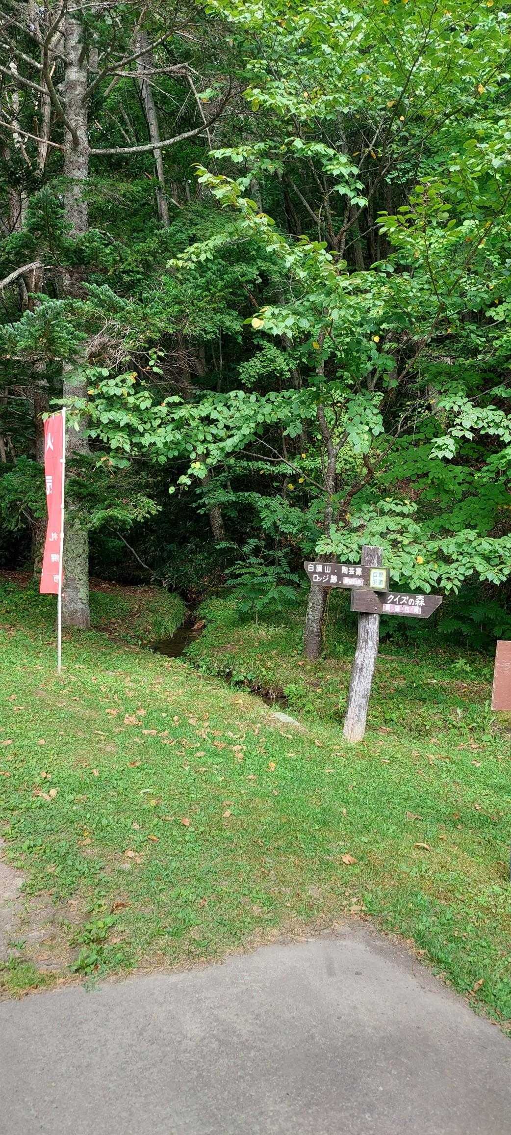 クイズの森気になります…