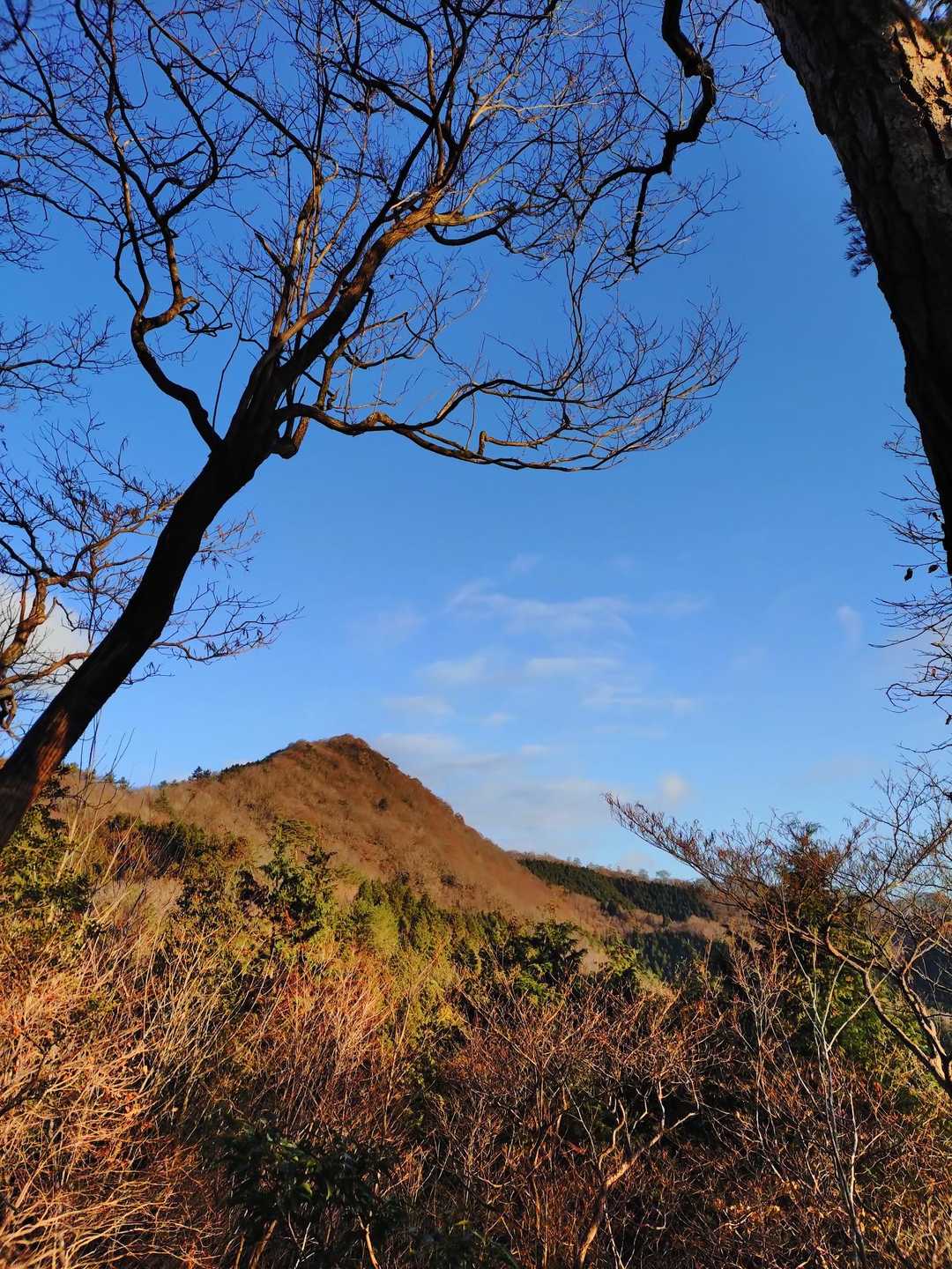 莇ヶ岳 周回コースの写真