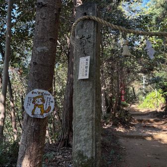 お邪魔しまーす🏃