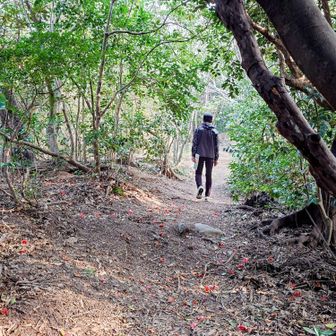 Yちゃんに先頭歩いて貰いました。クモの巣に難儀してました🤭