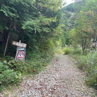 ここから林道を離れて登山道へ。