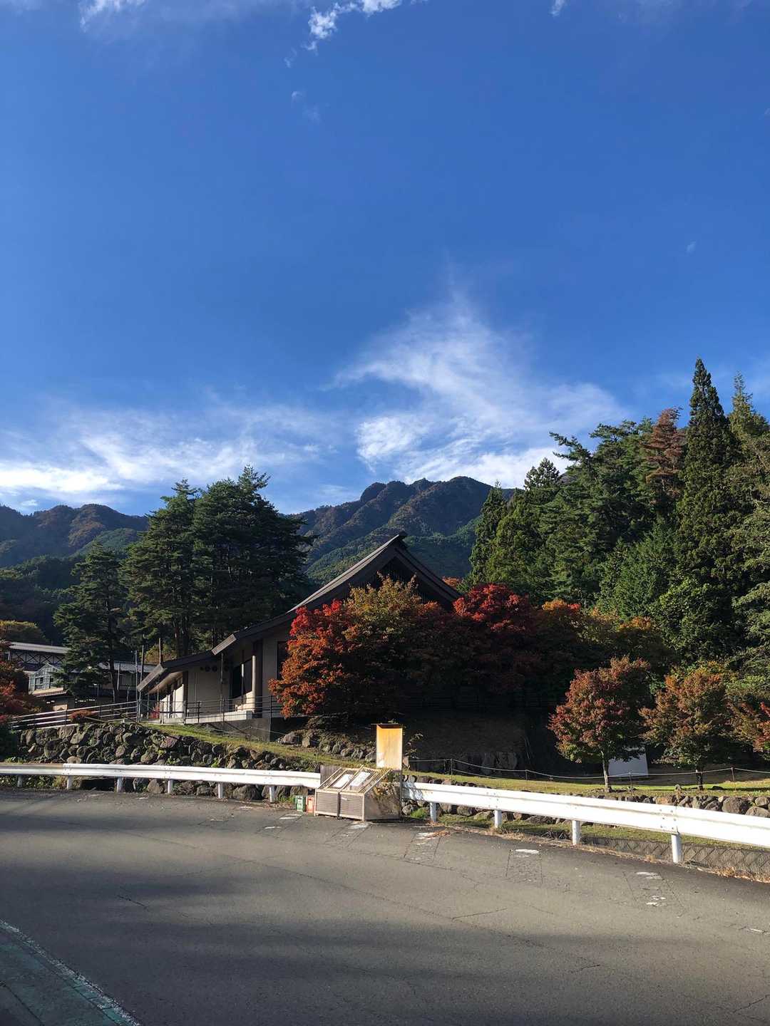 気分の良い下り道だった