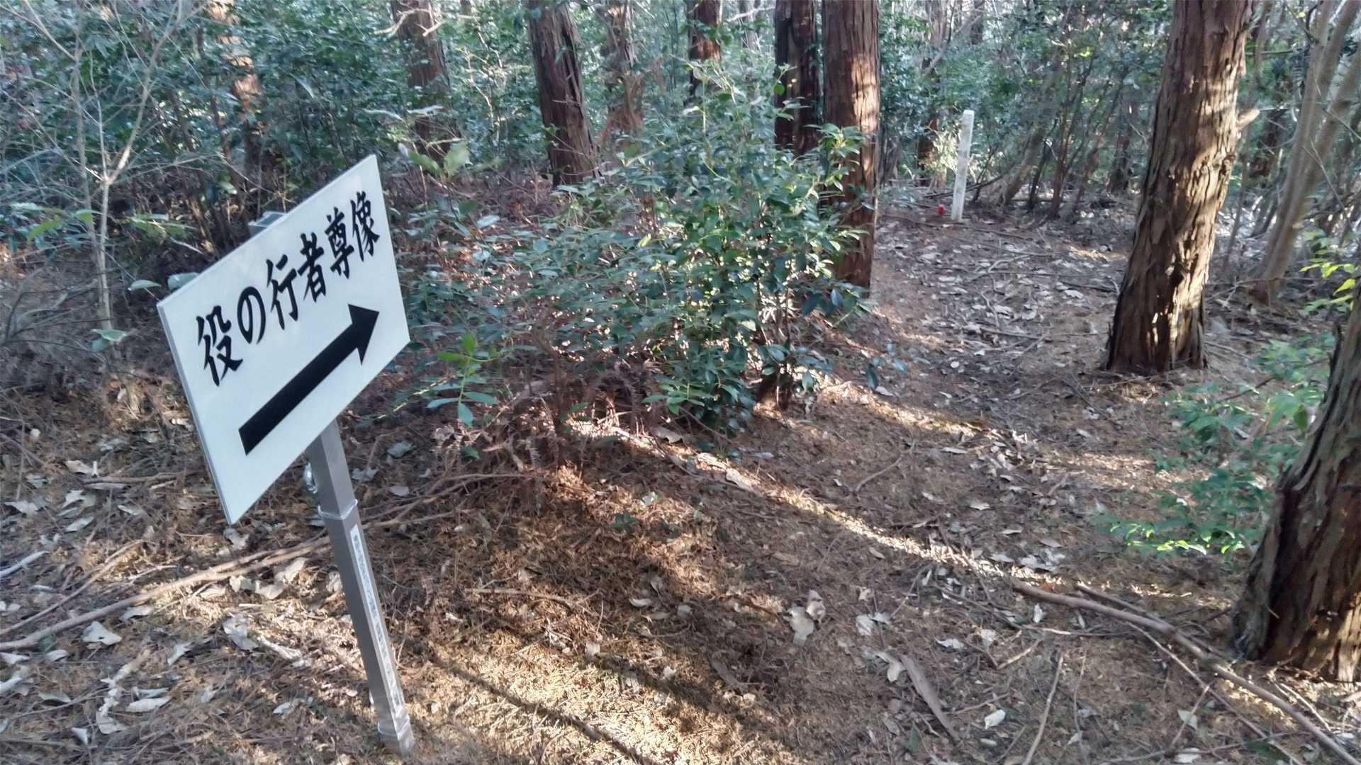 雌笠山⛰️を通りすぎて
時間があればこの道も歩いてみたかったです😔