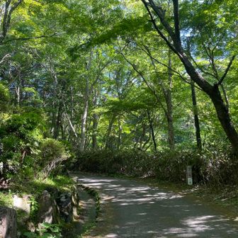 空気がとても良いです✨