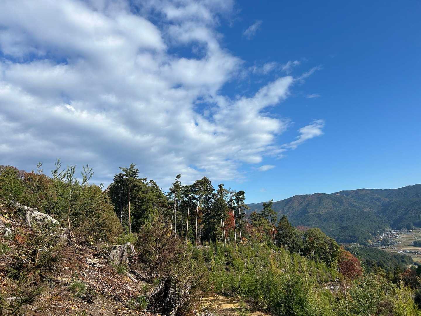 鍋足山 往復コースの写真