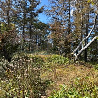 アカノラ山は、山頂直前で進入禁止です