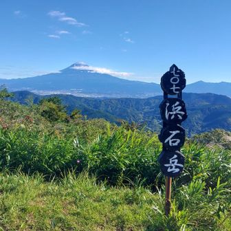 見事なもんです。
